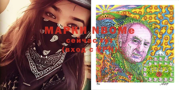 метадон Алексин