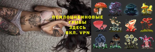 метадон Алексин