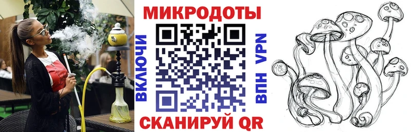 где найти   Тайшет  Галлюциногенные грибы ЛСД 